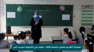 ضوابط التقديم للعمل بالحصة 2026.. تعرف على الشروط الجديدة الآن